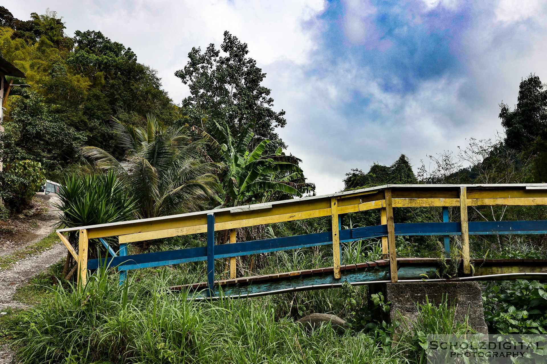 Jamaica Bridge