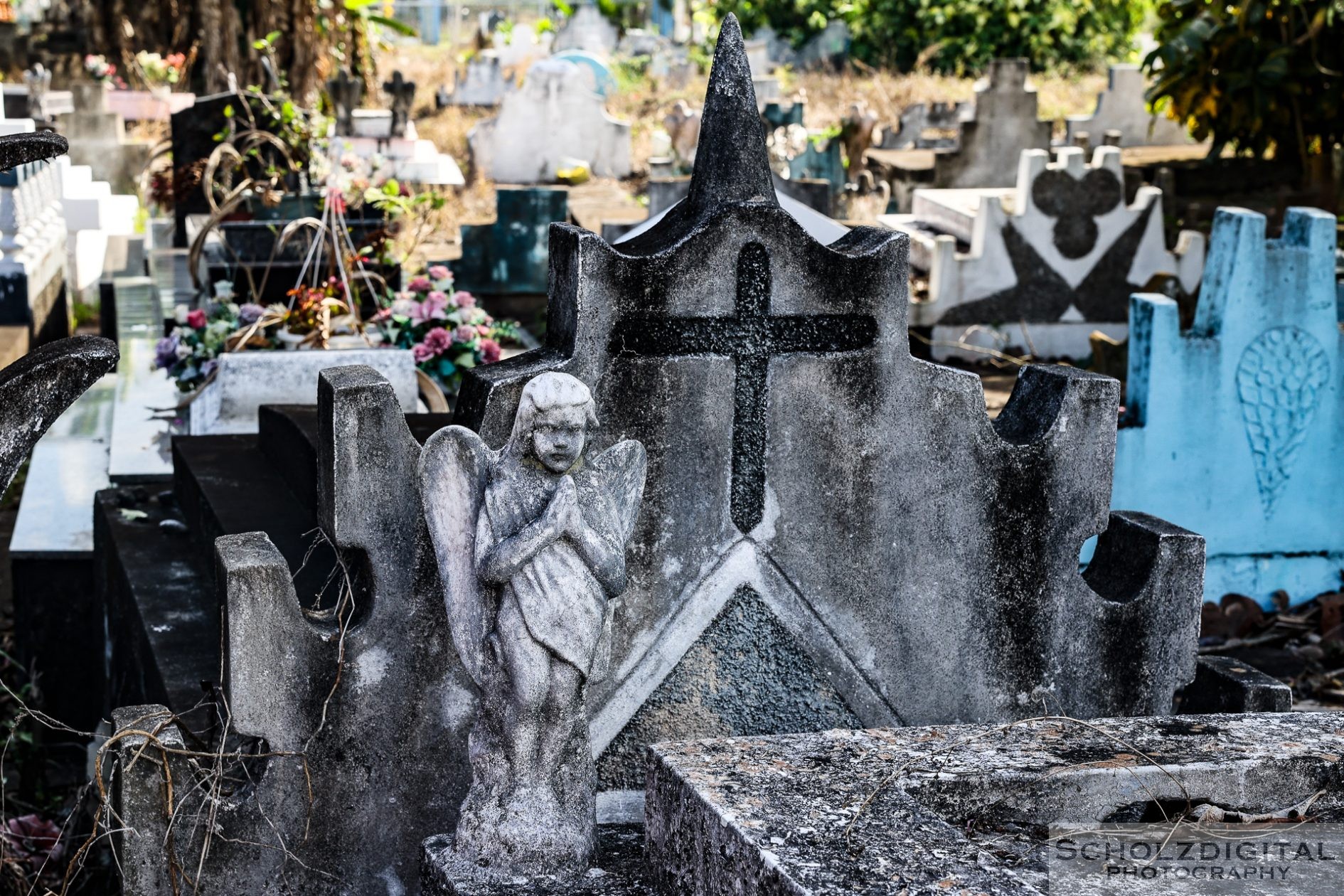 Jamaica Graveyard