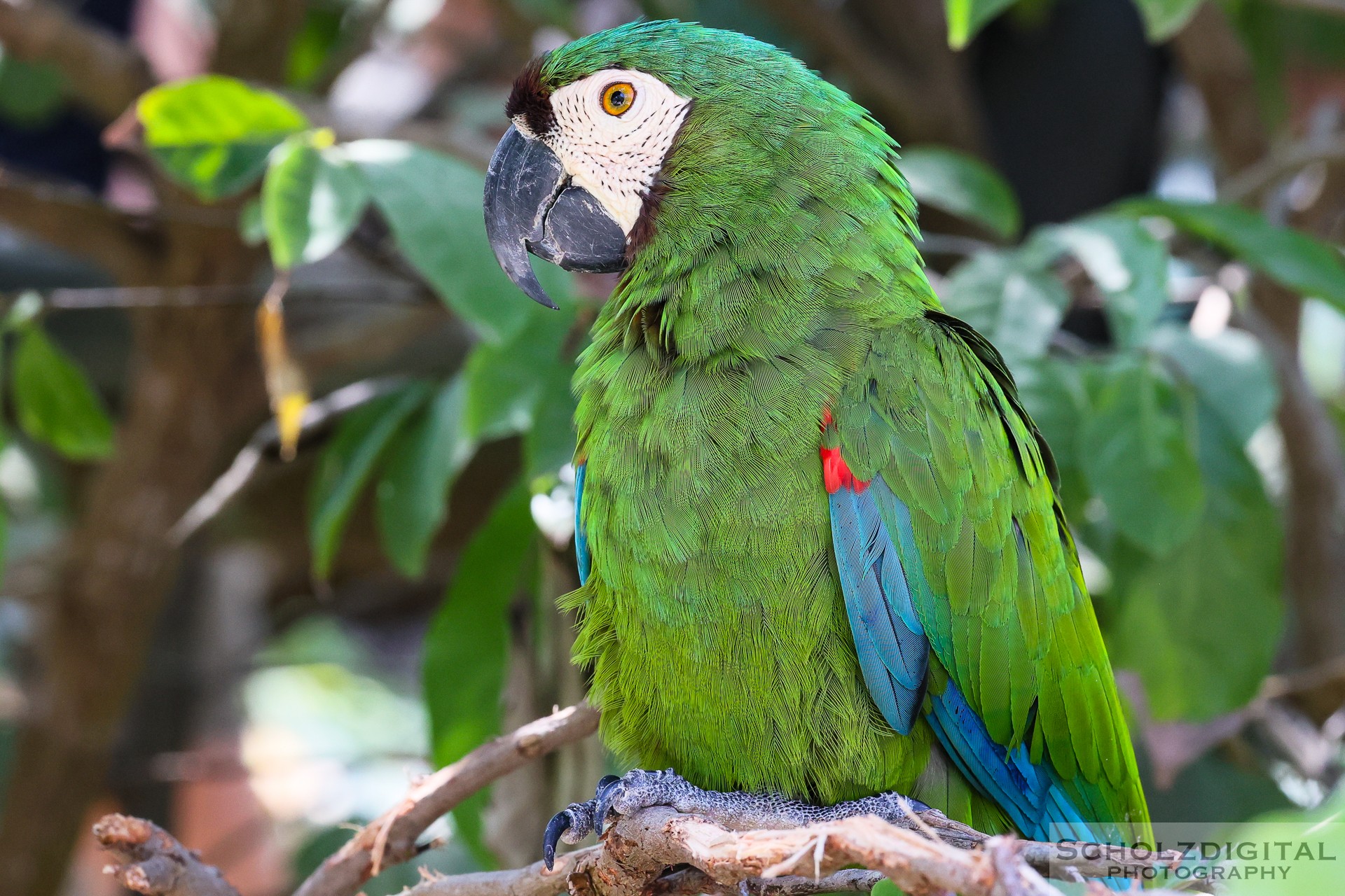 Aviario Nacional de Colombia