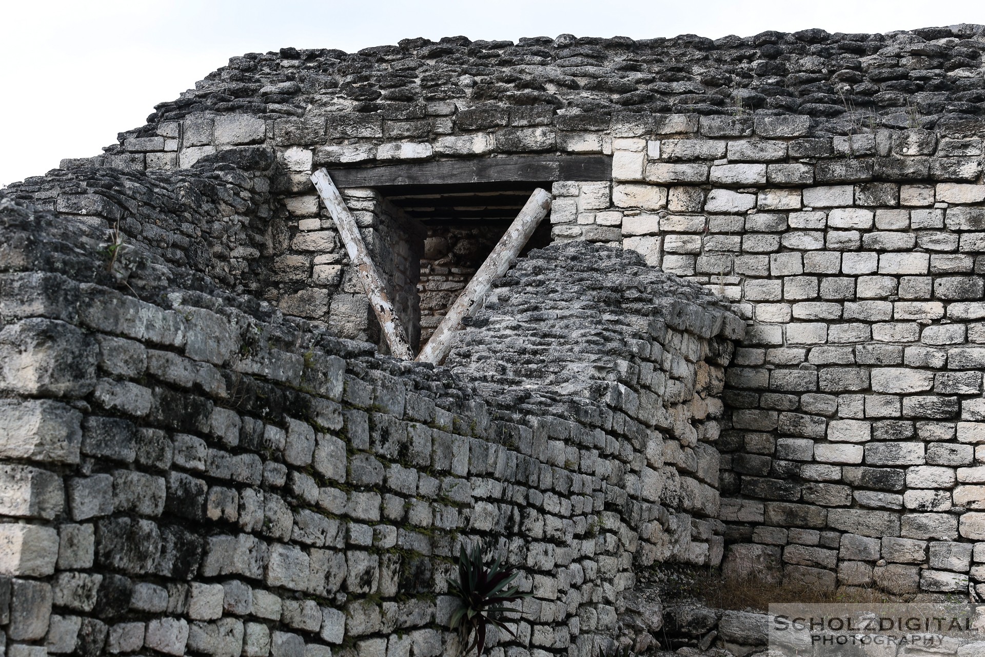 Maya Bauten