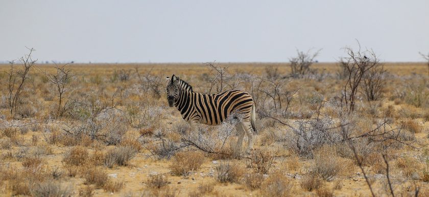 Namibia Rundreise mit Berge & Meer