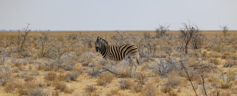 Namibia Rundreise mit Berge & Meer