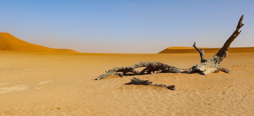 Namibia Deadvlei