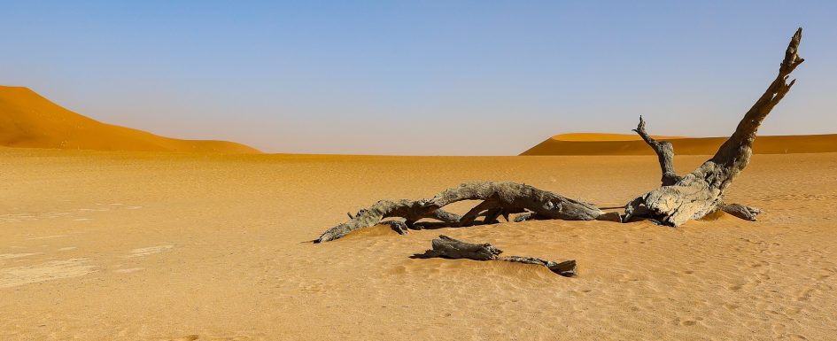 Namibia Deadvlei