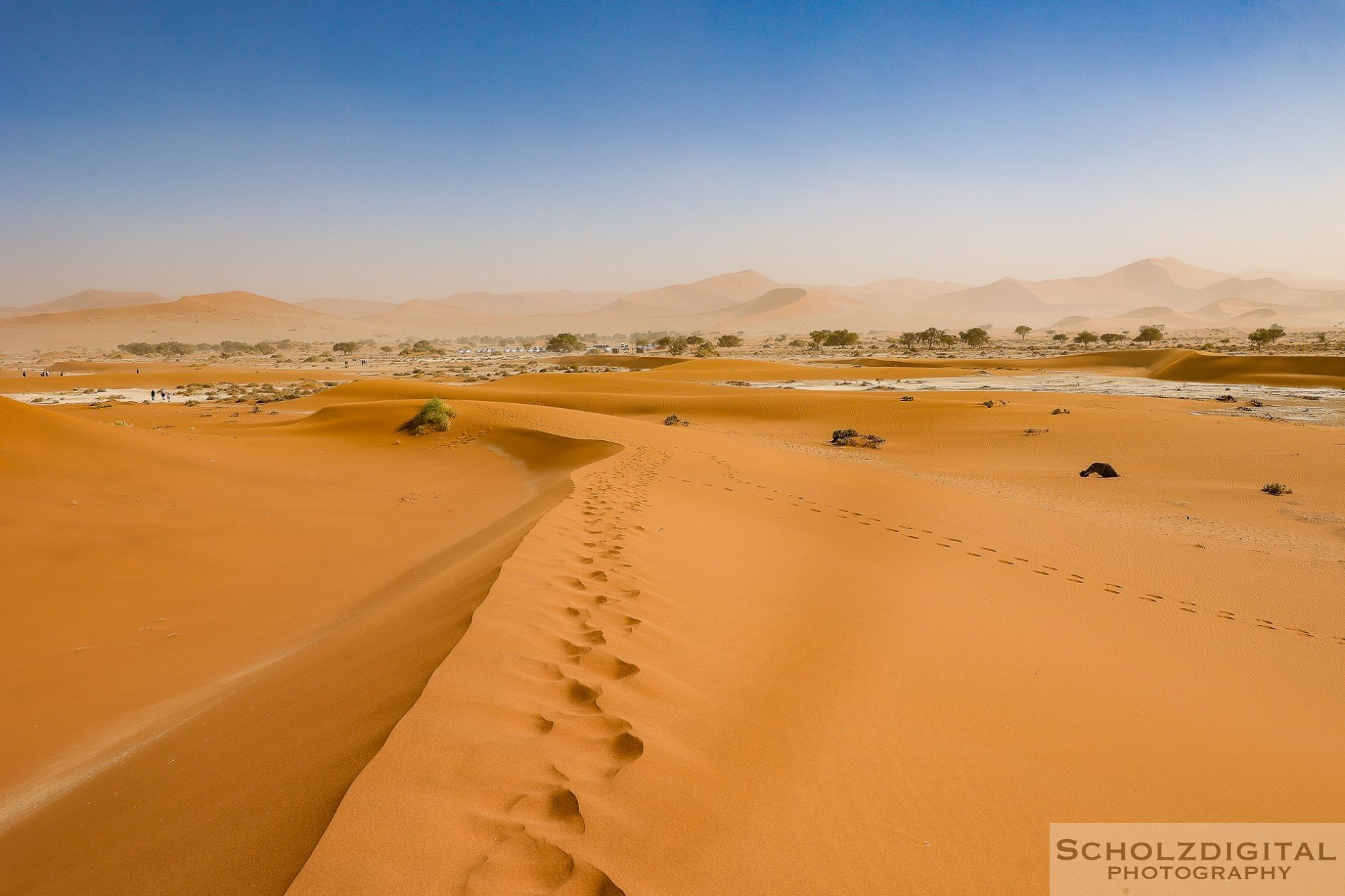 Namibia Deadvlei