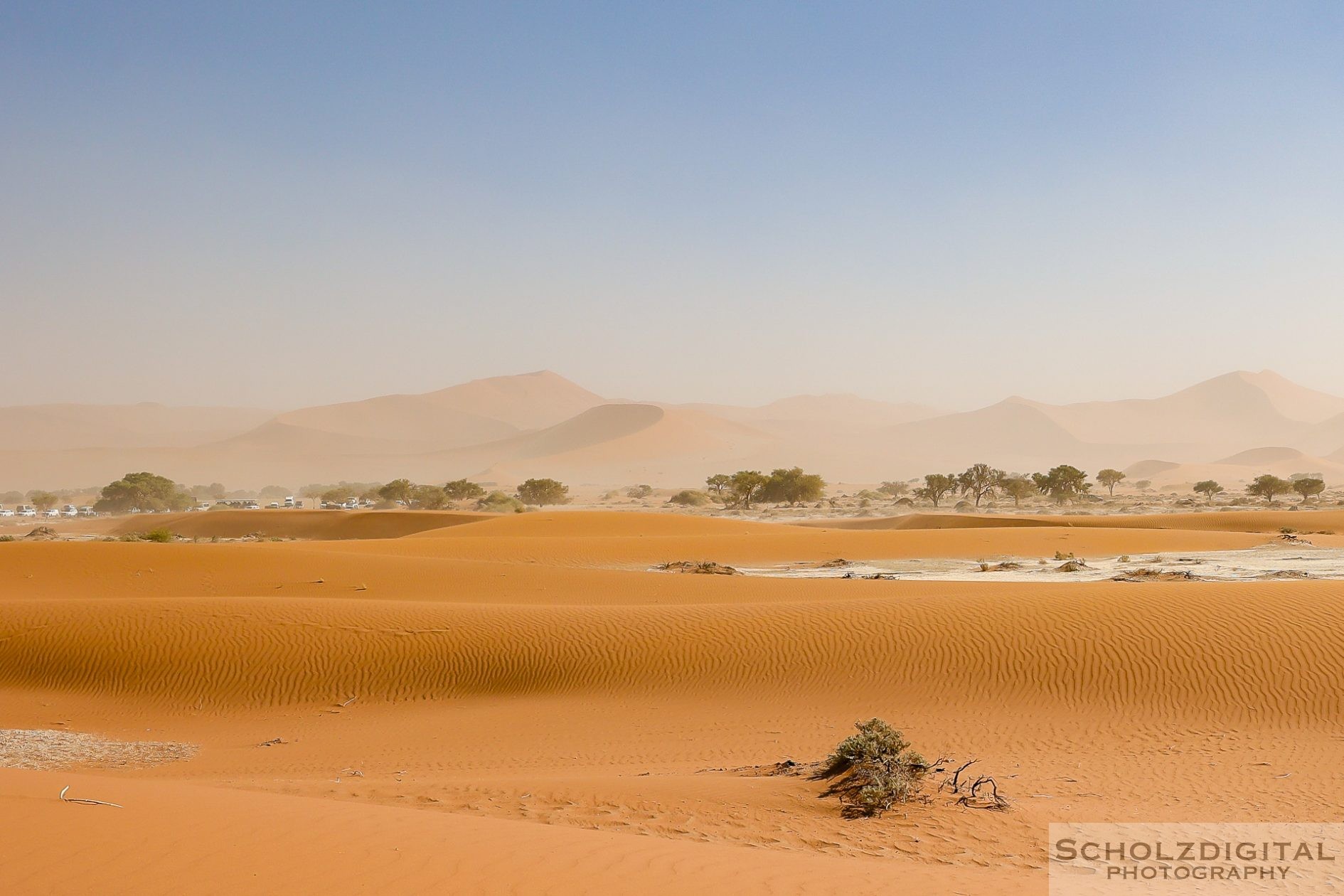 Namib Wüste