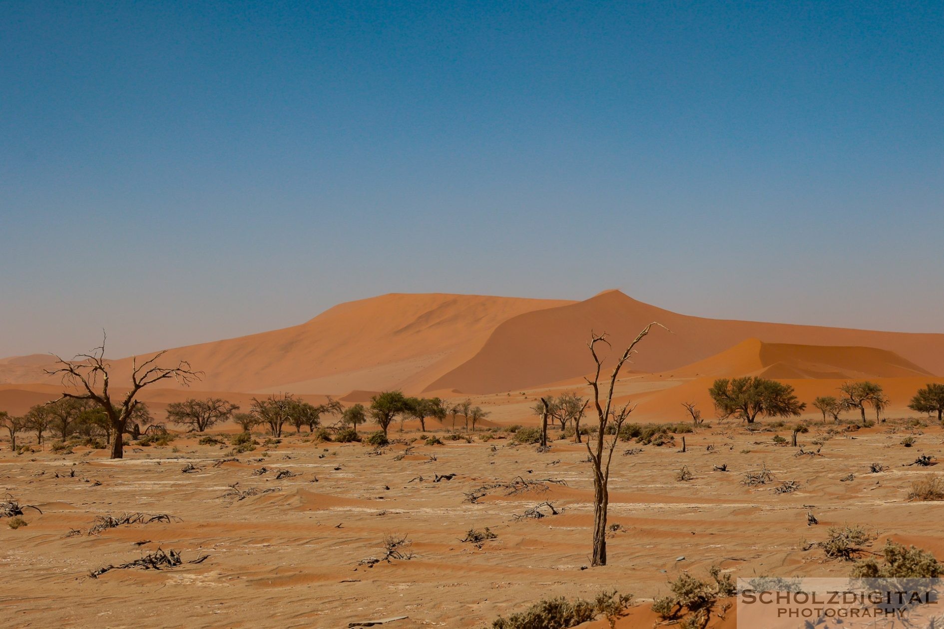 Namibia Namib Desert