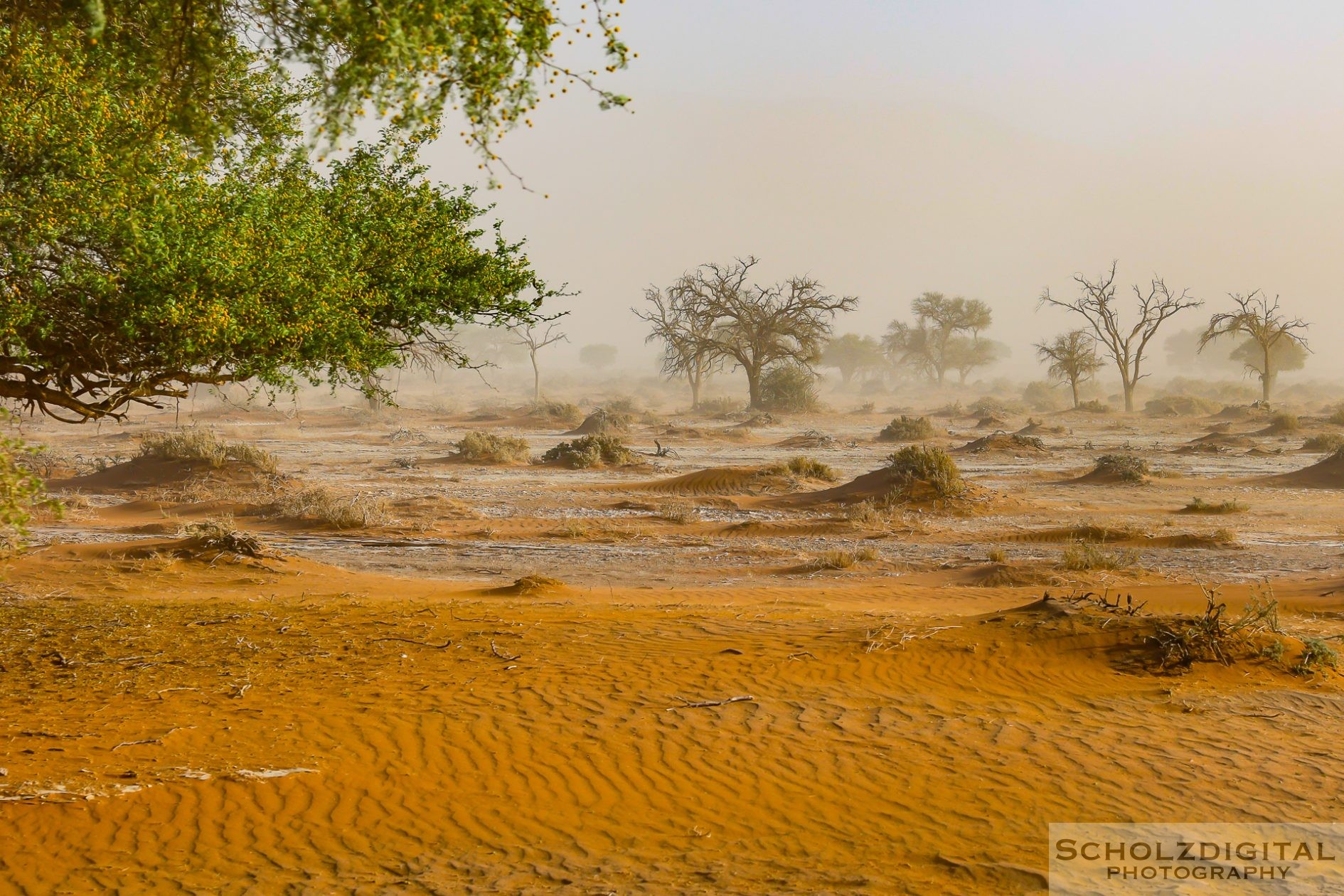 Namib-Naukluft-Nationalpark