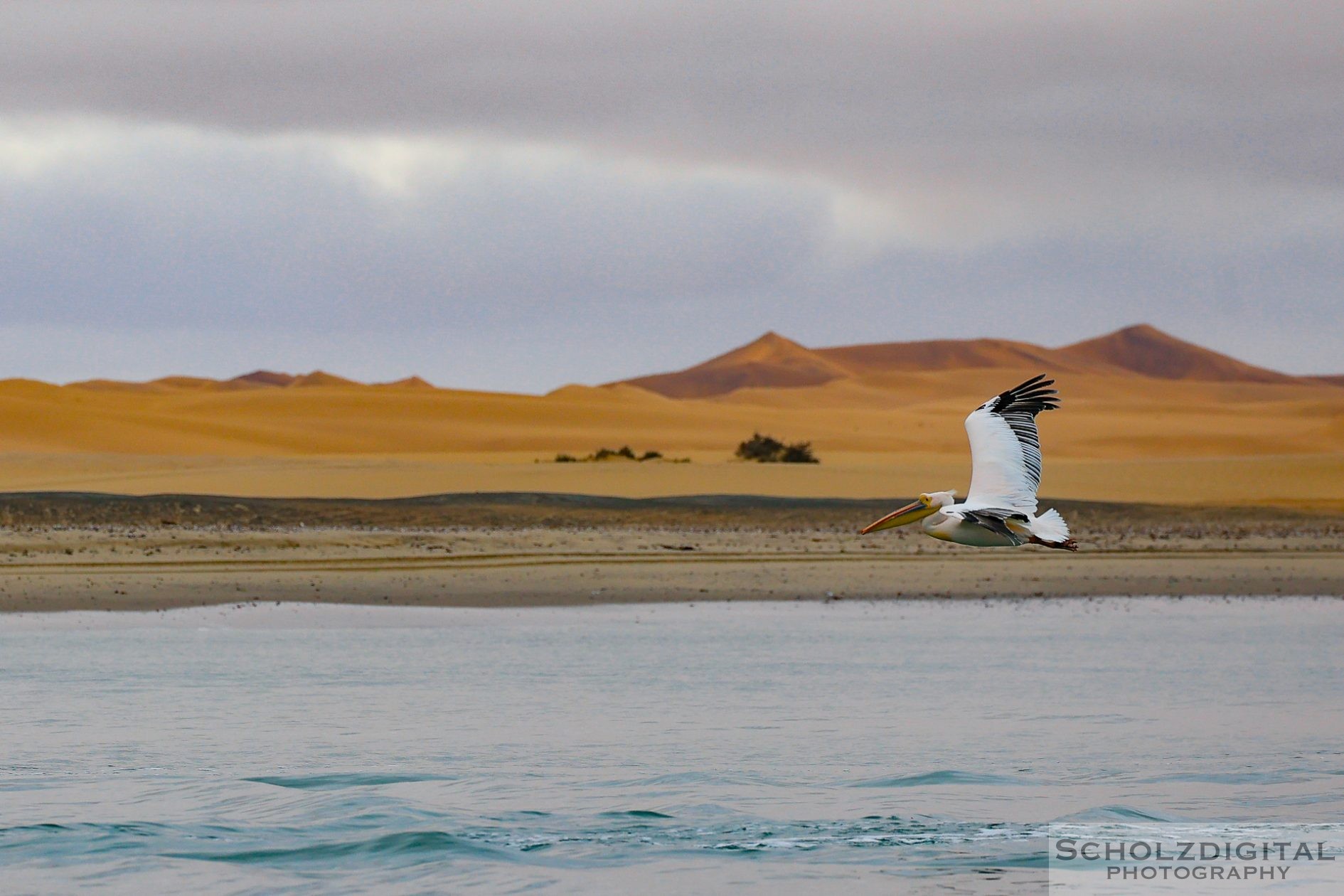 Walvis Bay