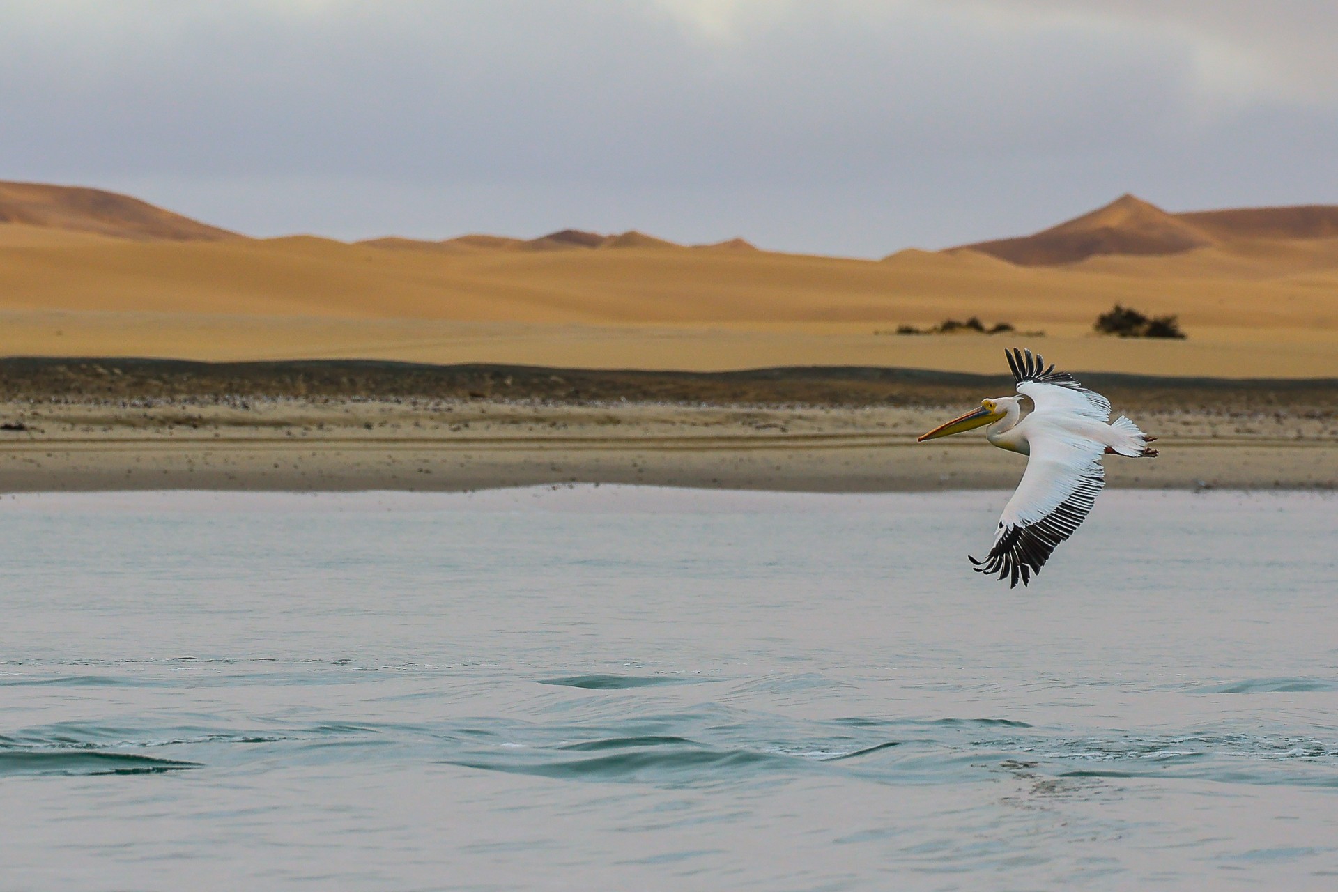 Namibia – Walvis Bay
