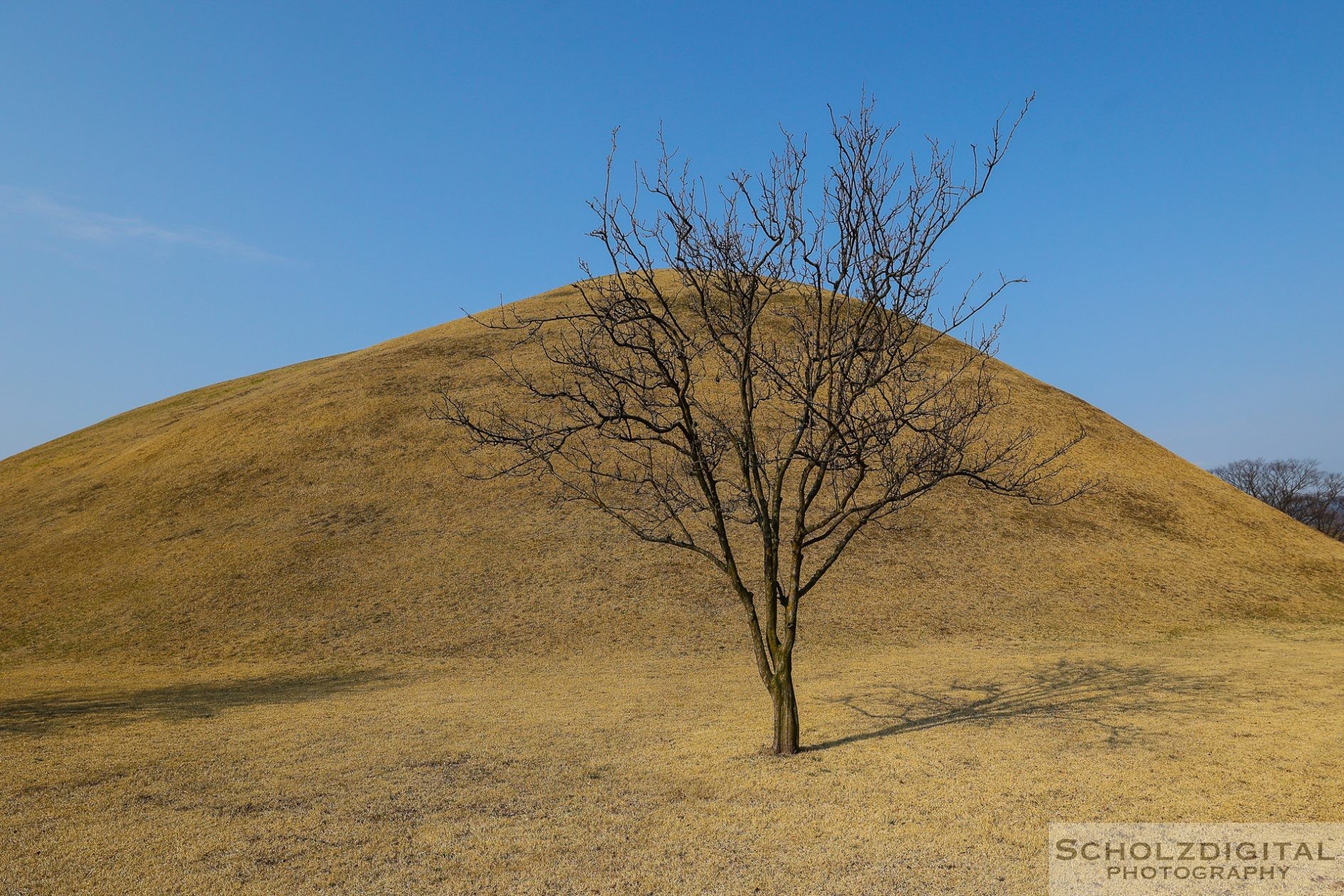 Gyeongju Königsgräber aus der Silla-Zeit