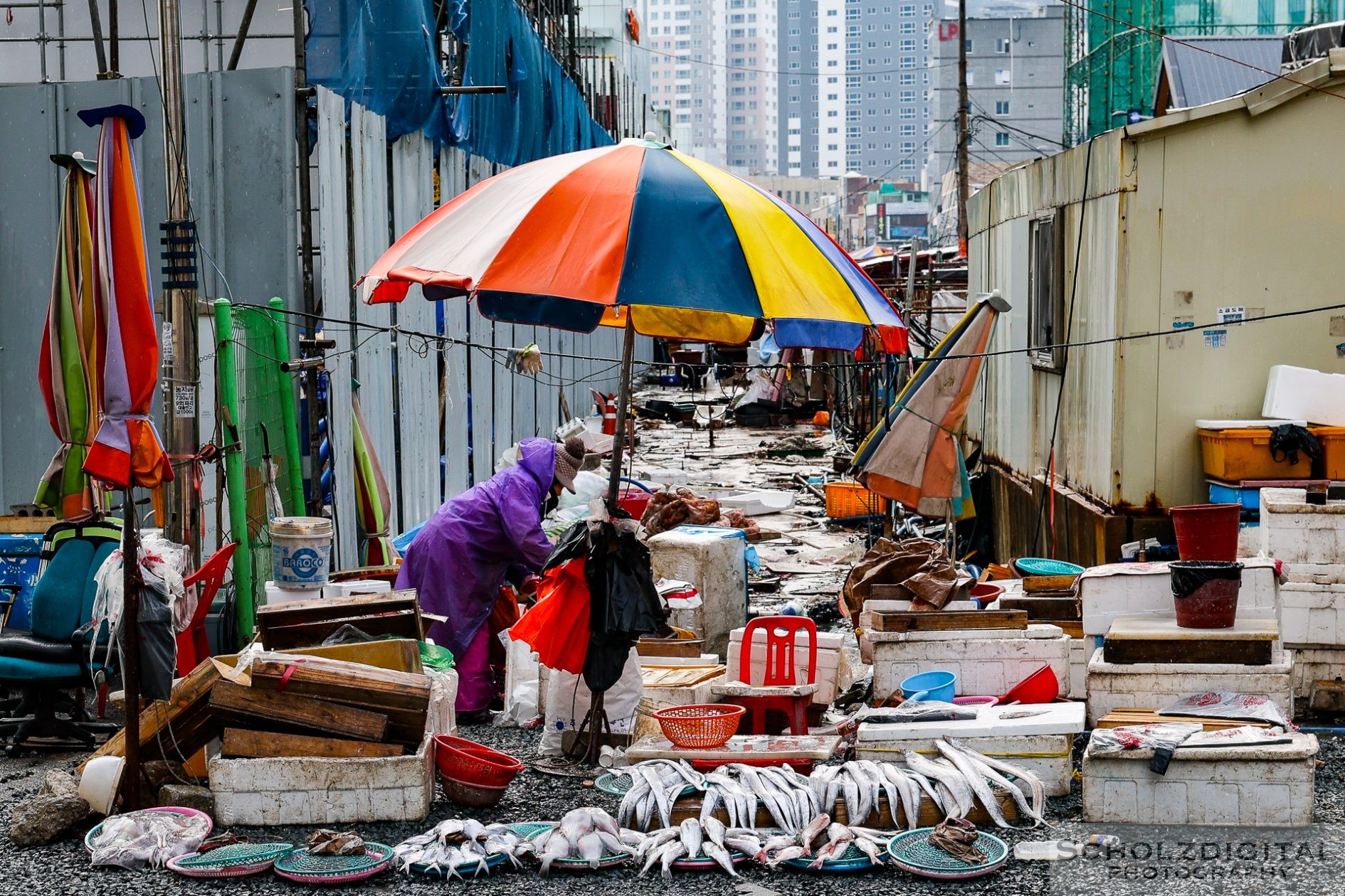 Busan Jagalchi Fischmarkt