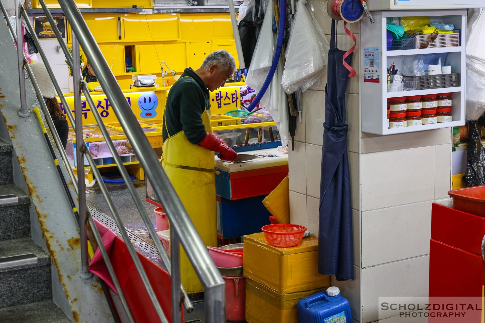 Busan Jagalchi Fischmarkt