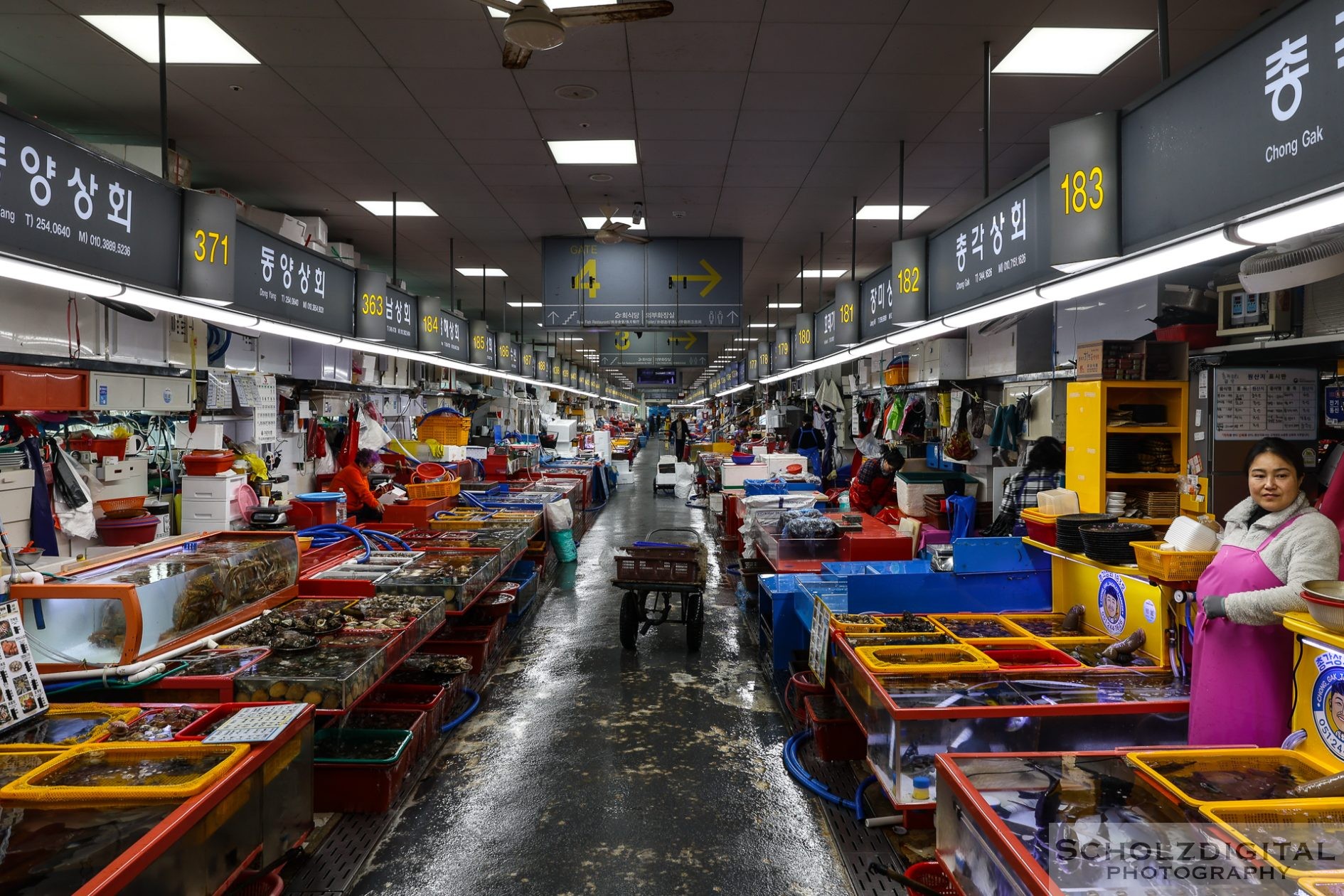 Busan Jagalchi Fischmarkt