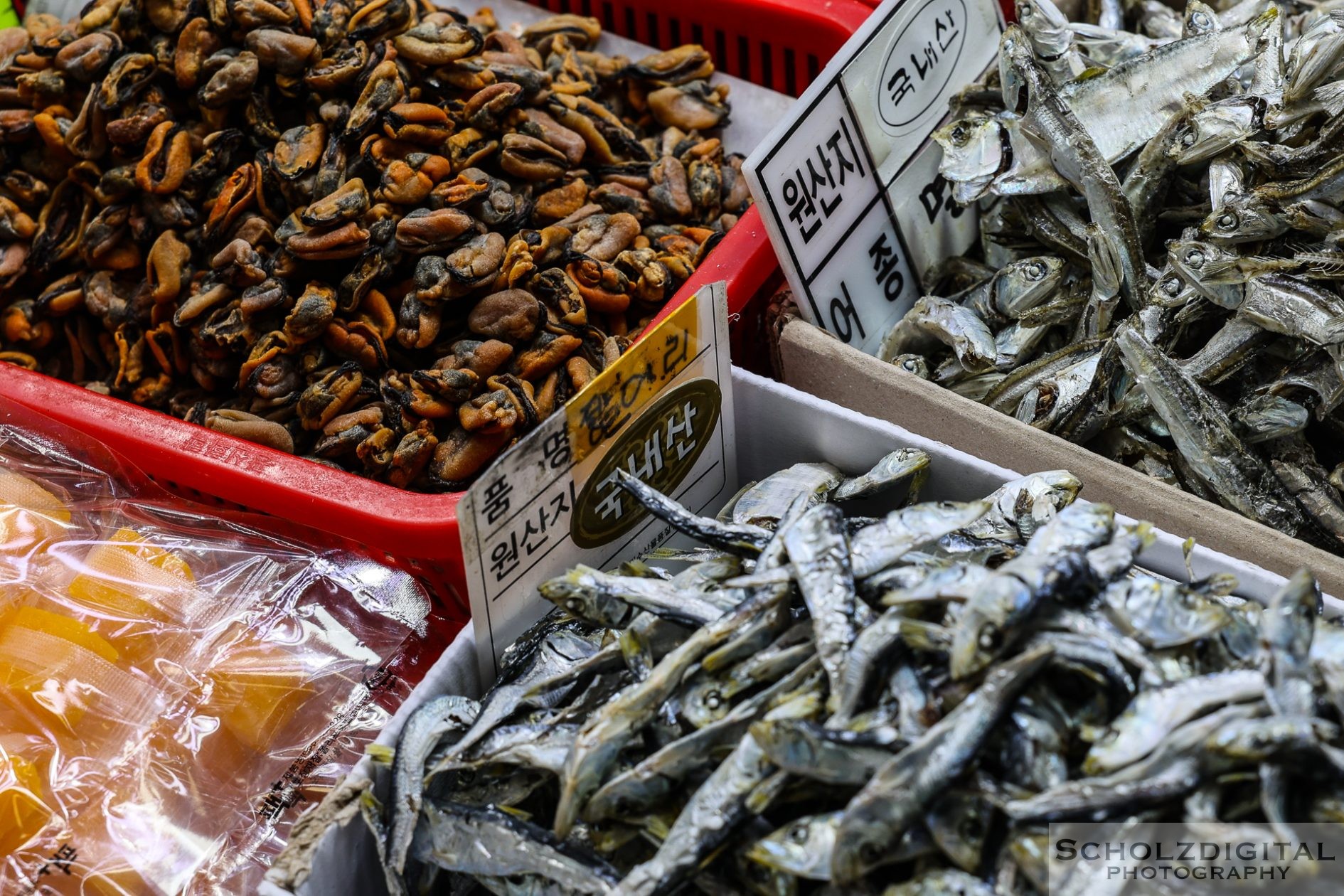 Busan Jagalchi Fischmarkt