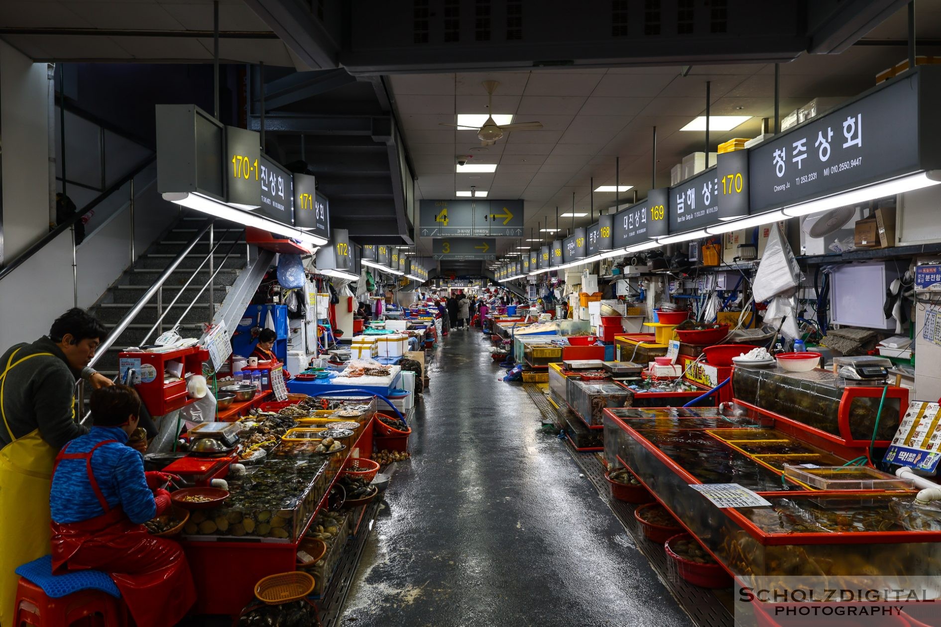 Busan Jagalchi Fischmarkt