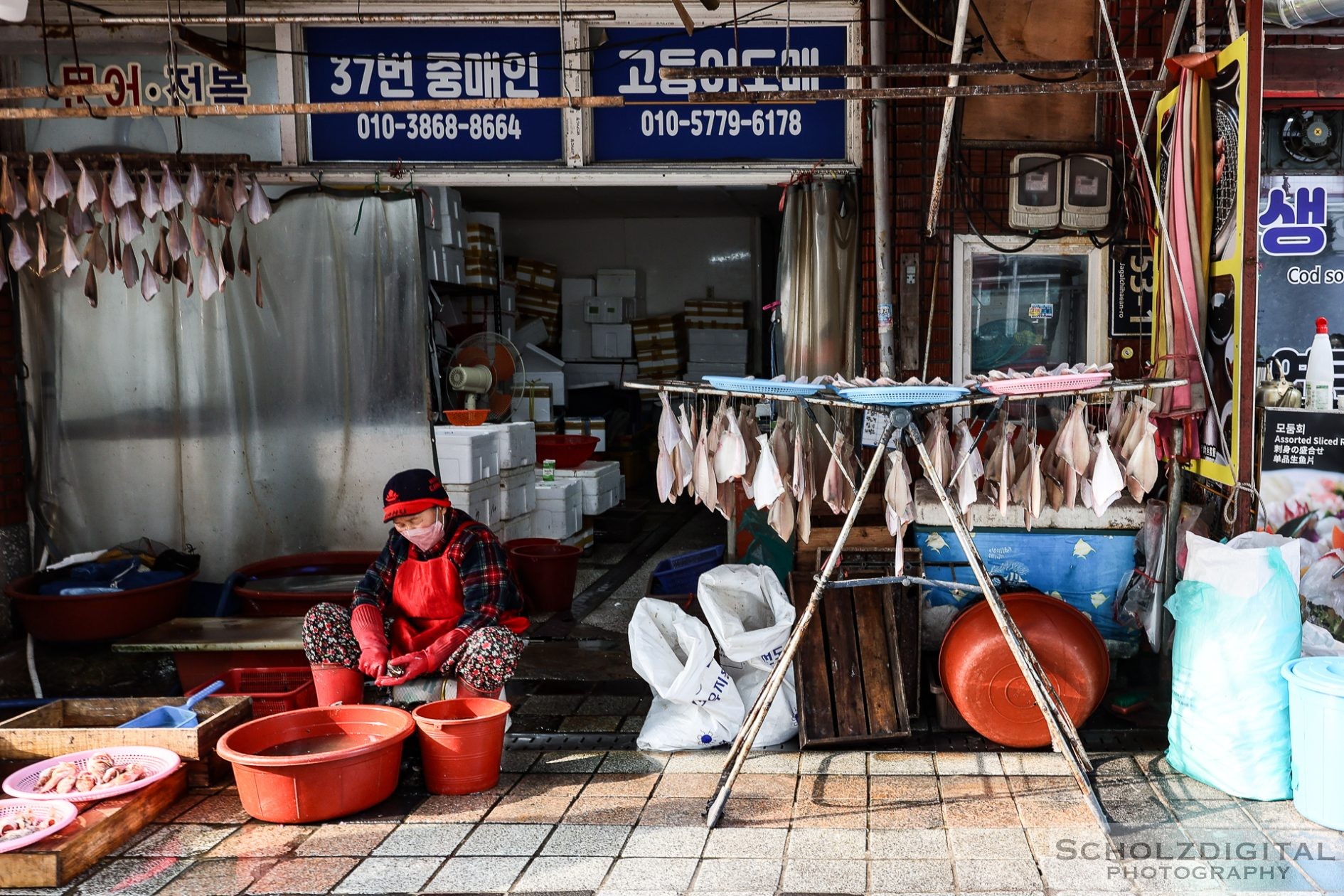 Busan Jagalchi Fischmarkt