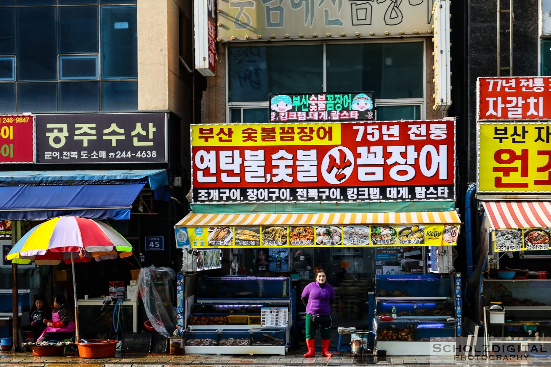 Busan Jagalchi Fischmarkt