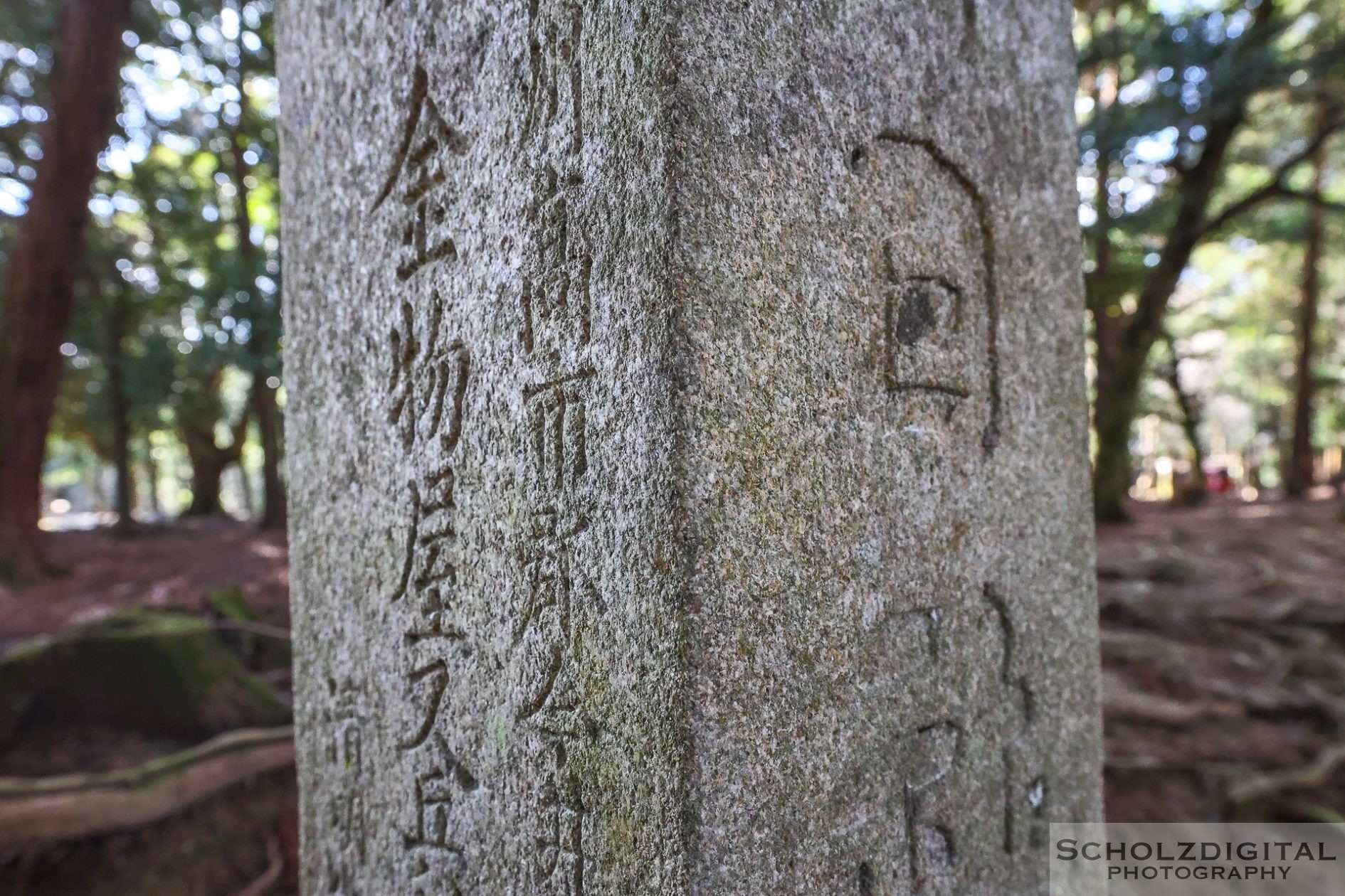 Nara Park