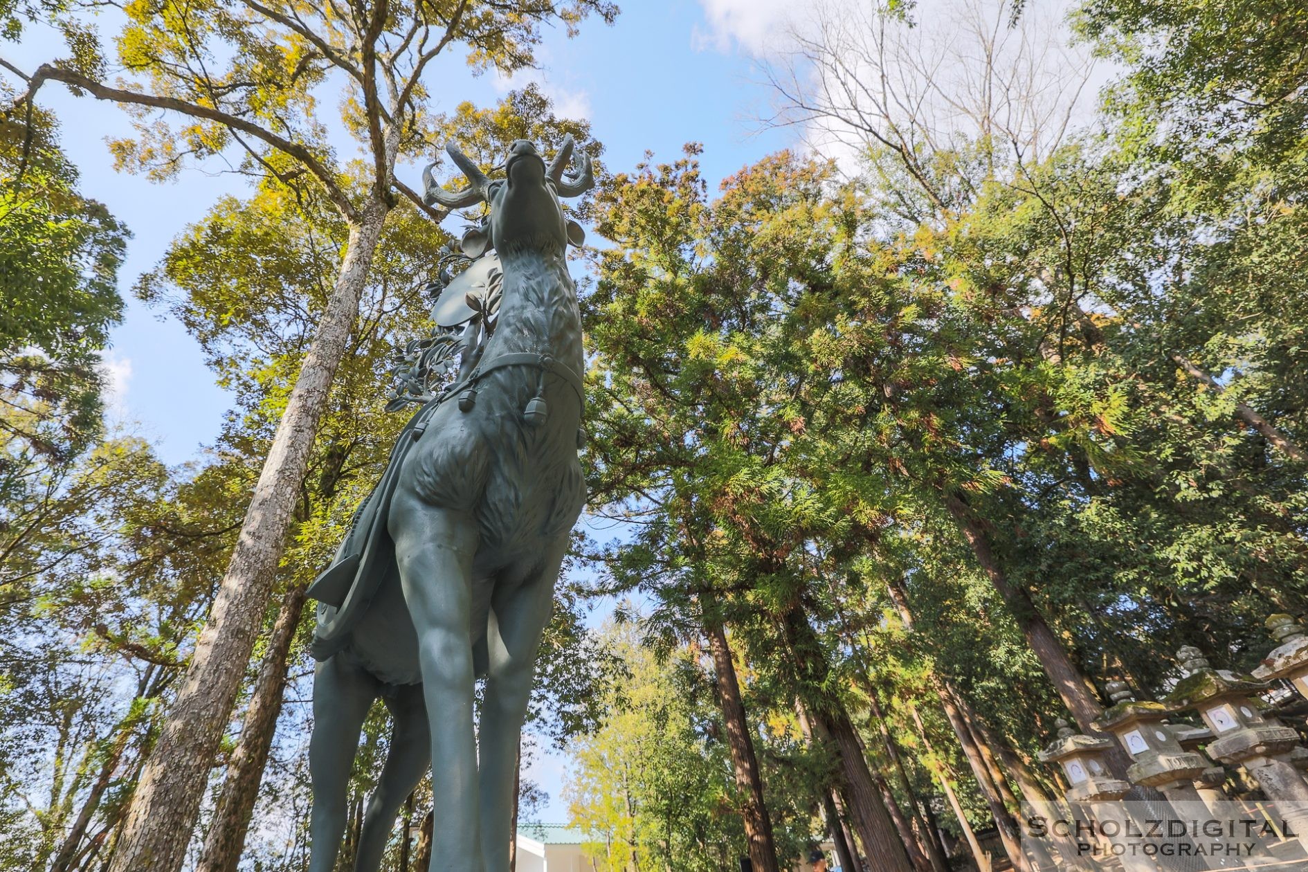 Nara Japan