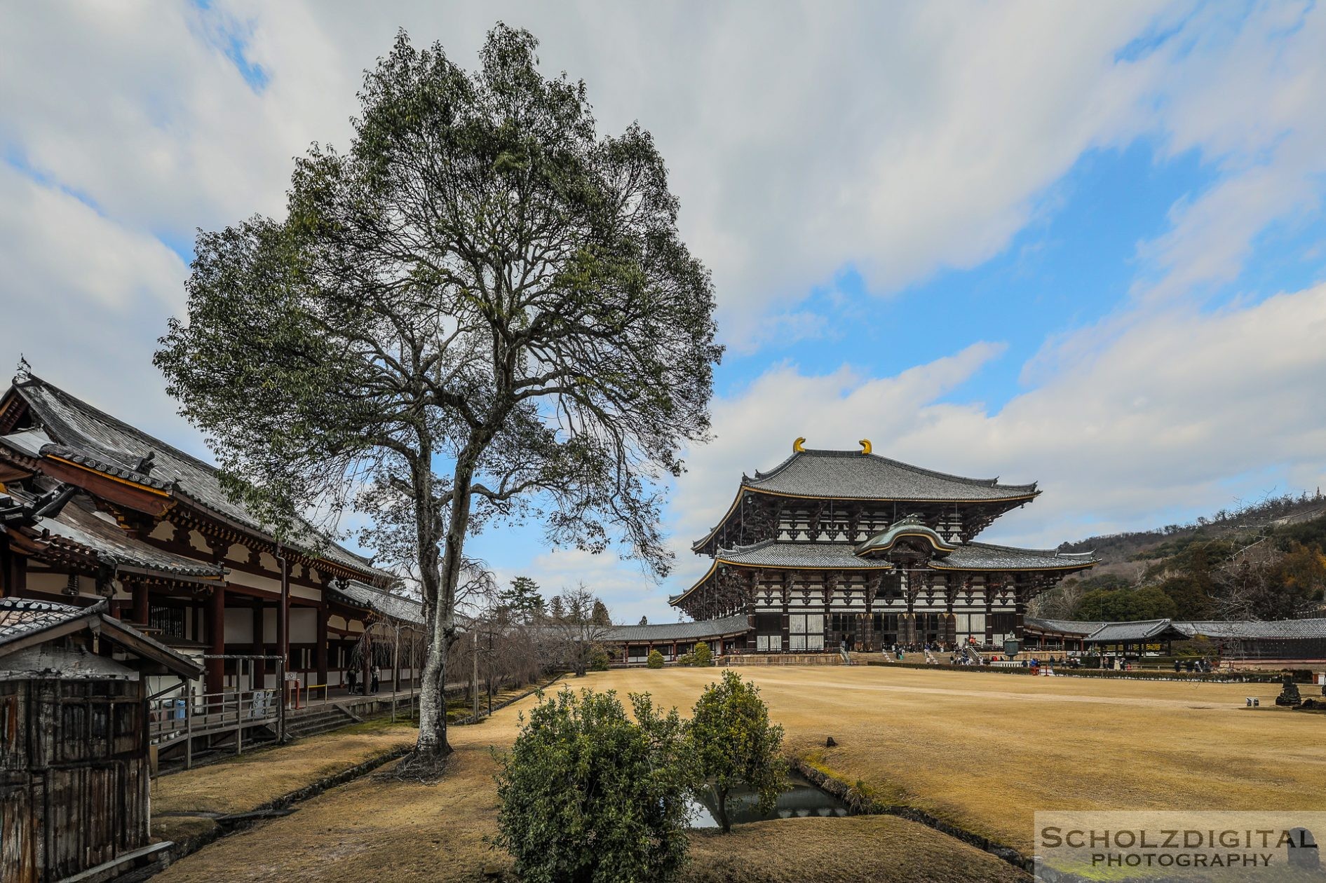 Todaiji Tempel Nara Japan