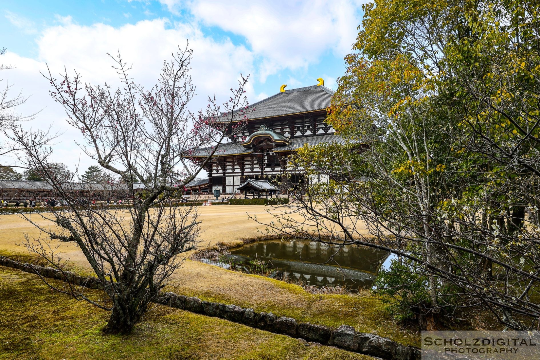 Todaiji Tempel Nara Japan