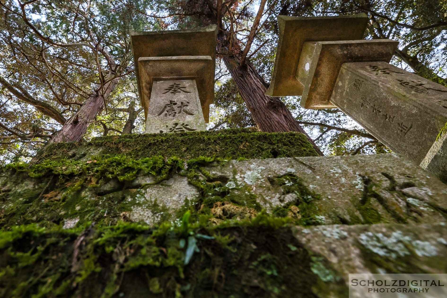 Nara Park