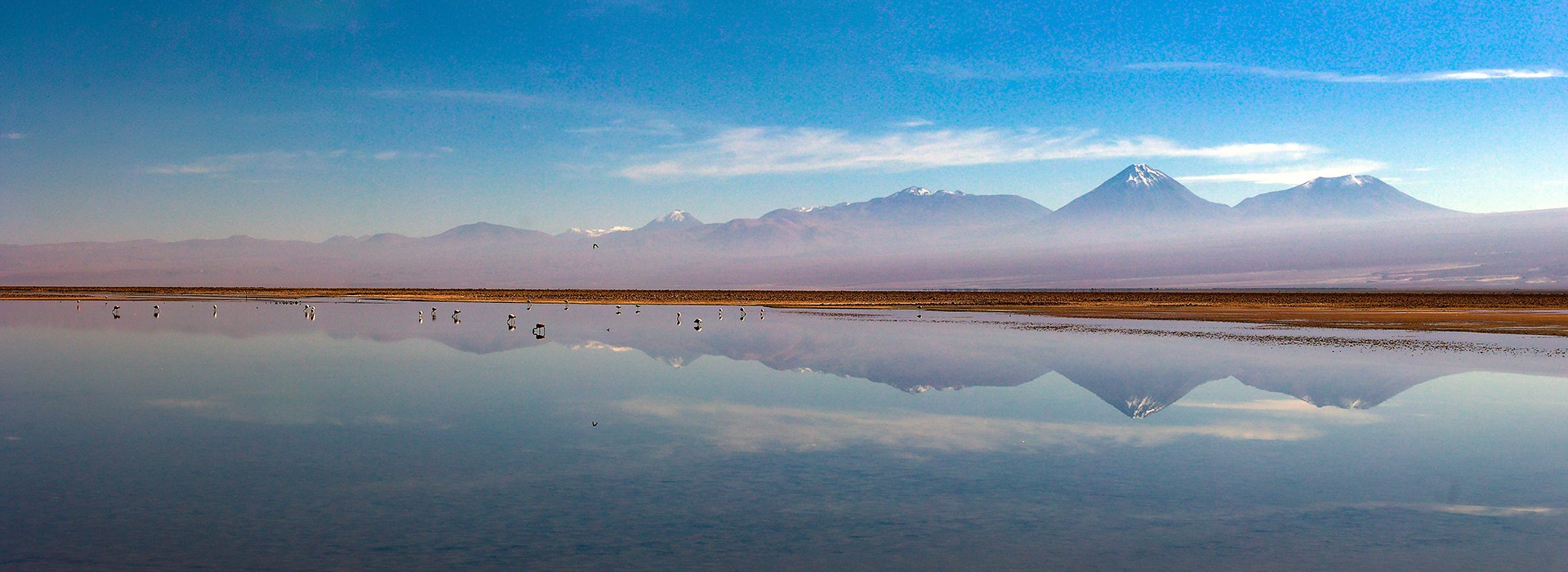 Chile – Laguna Chaxa