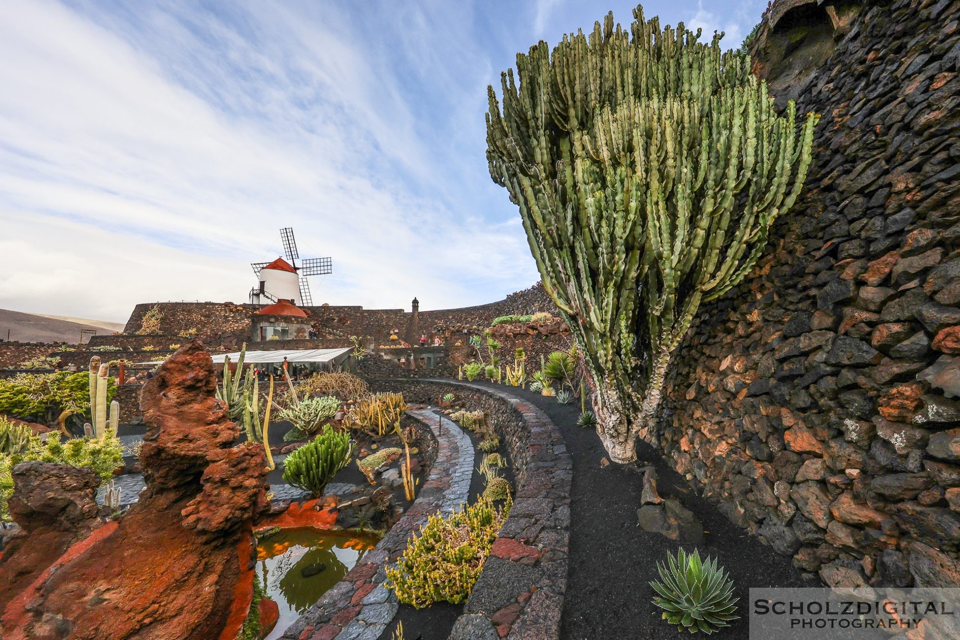 Detailaufnahme verschiedener Kakteen im Jardín de Cactus auf Lanzarote