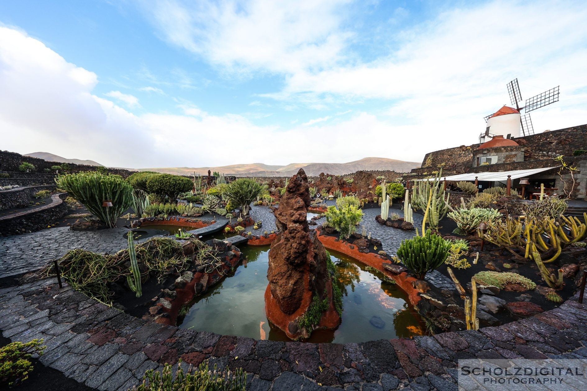 Detailaufnahme verschiedener Kakteen im Jardín de Cactus auf Lanzarote
