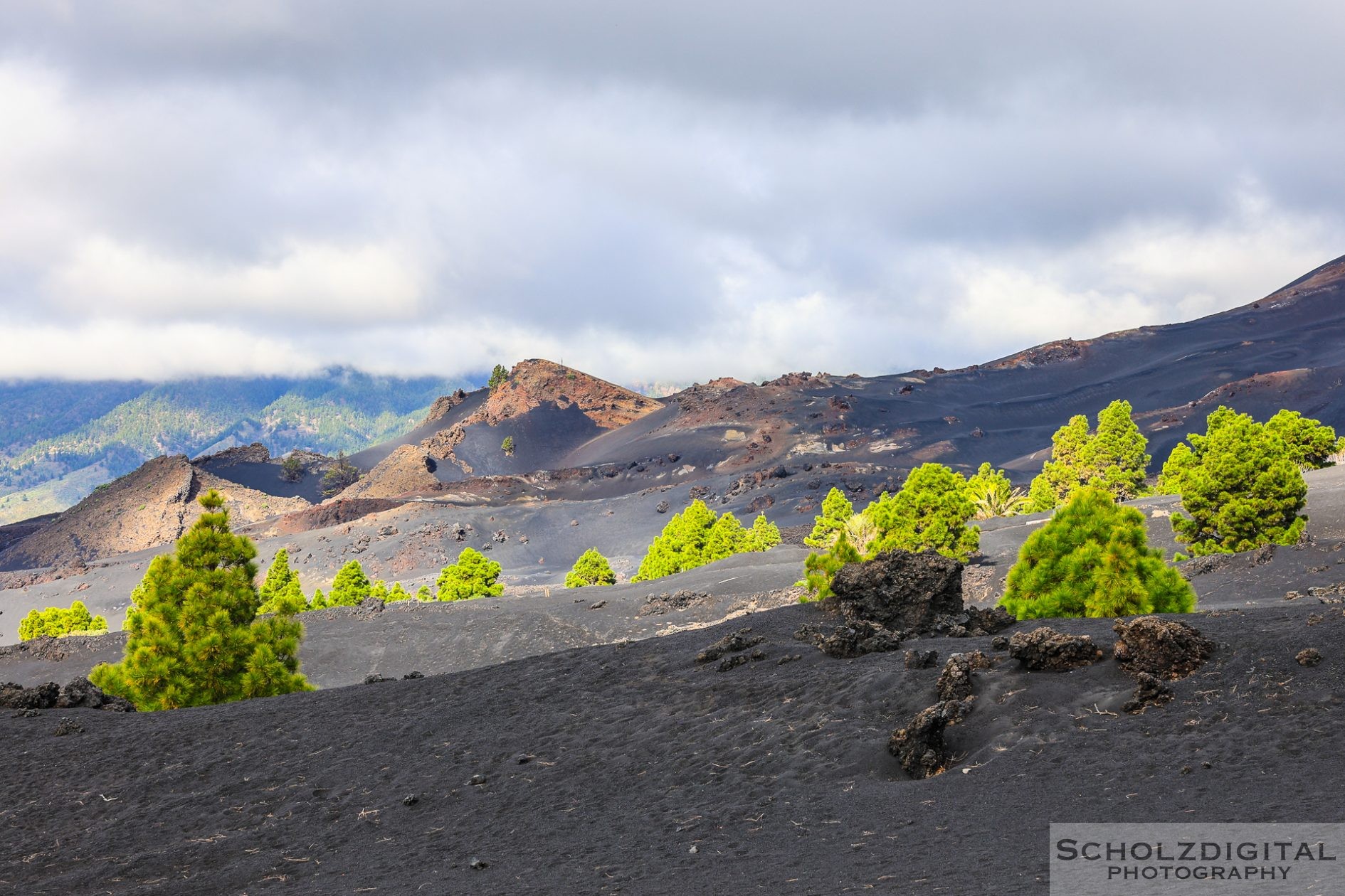 Erstarrtes Lavafeld des Vulkanausbruchs 2021 auf La Palma