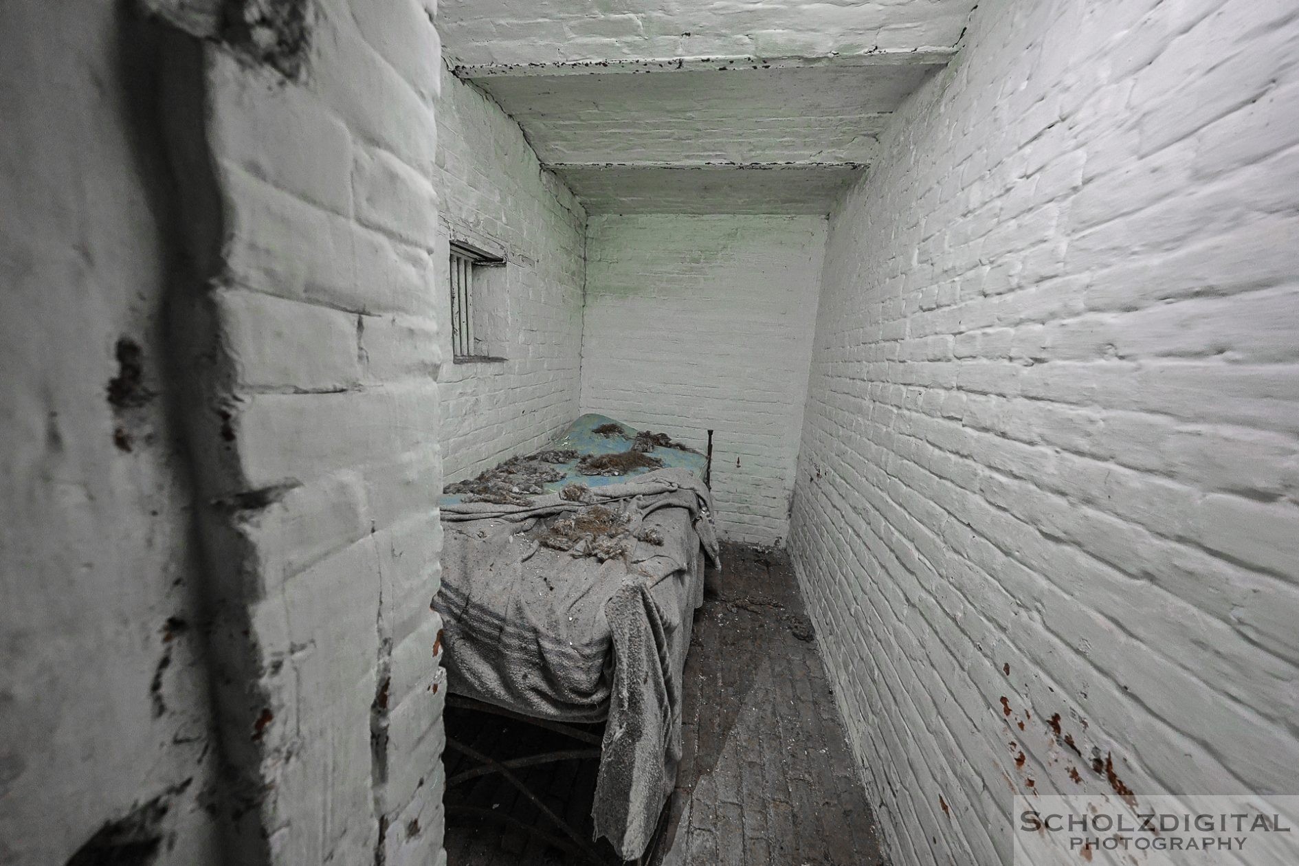 Zellentüren im Detail – Massive Bauweise, kompromisslos