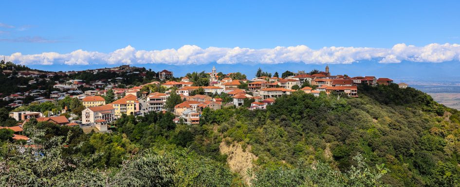 Blick auf Signagi und Landschaft